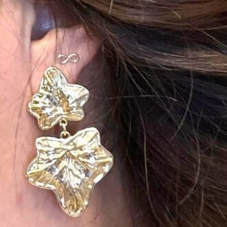 acc_00012 Aretes Hojas