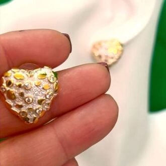 acc_00019 Corazón combinado